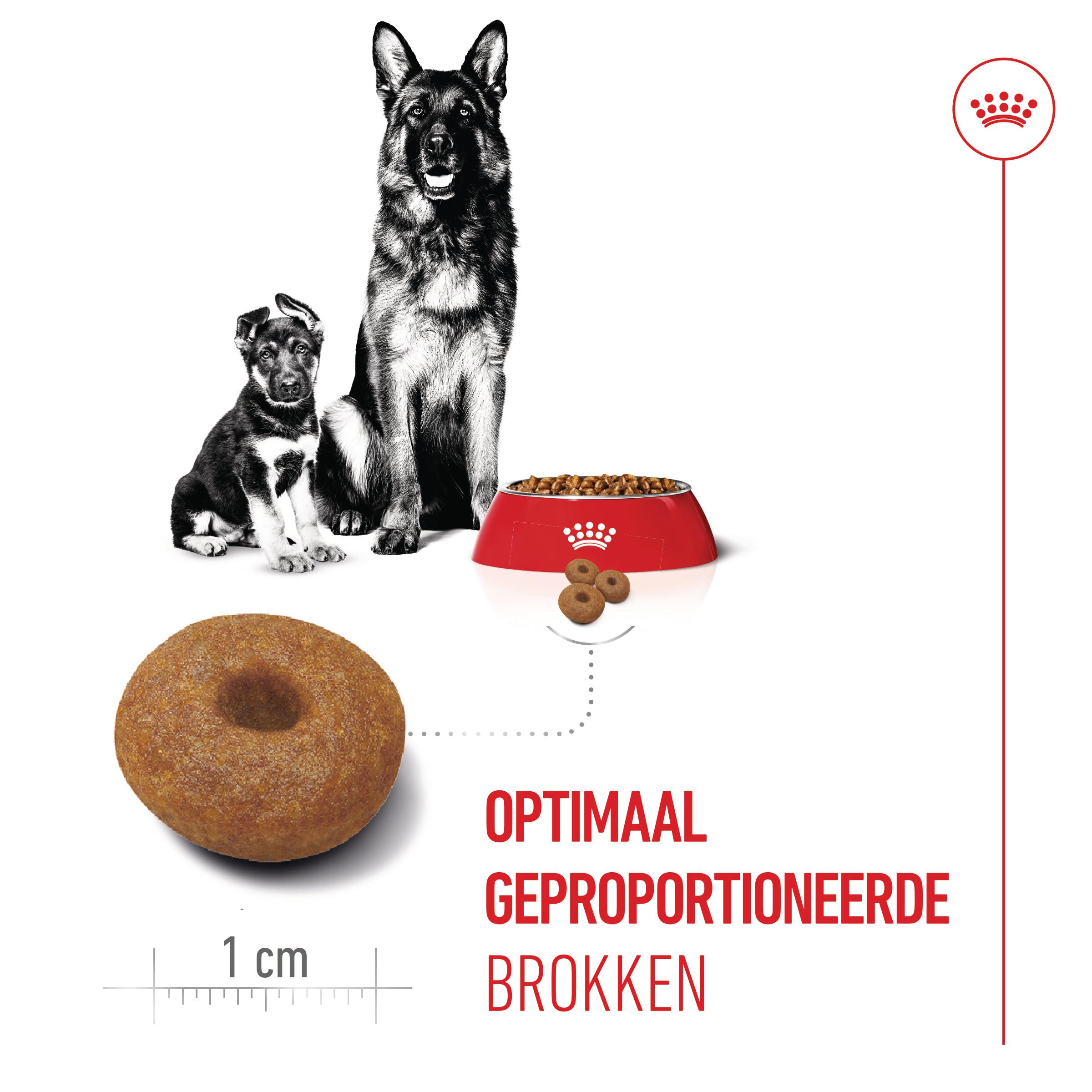 Royal Canin Maxi Starter Mother & Babydog - Hondenvoer
