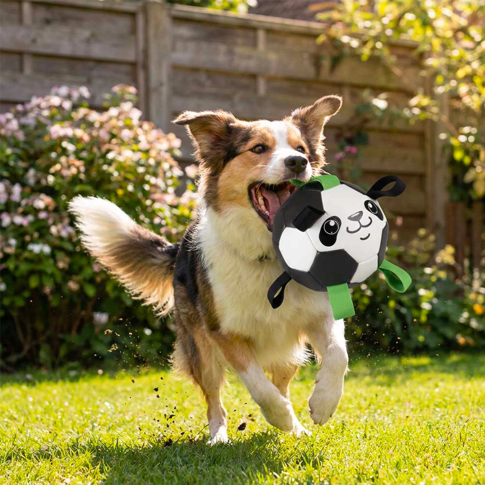 Duvo+ Voetbal Panda