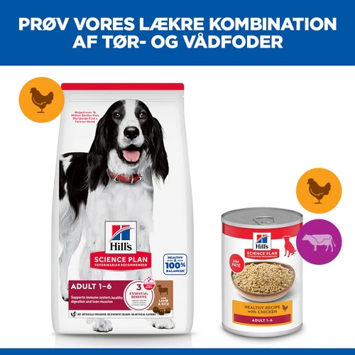 Hill's Science Plan Medium - Adult - Lam & Ris