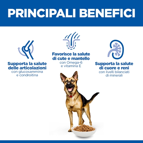 Hill's Science Plan - Large Breed - Mature Adult 6+ - Pollo