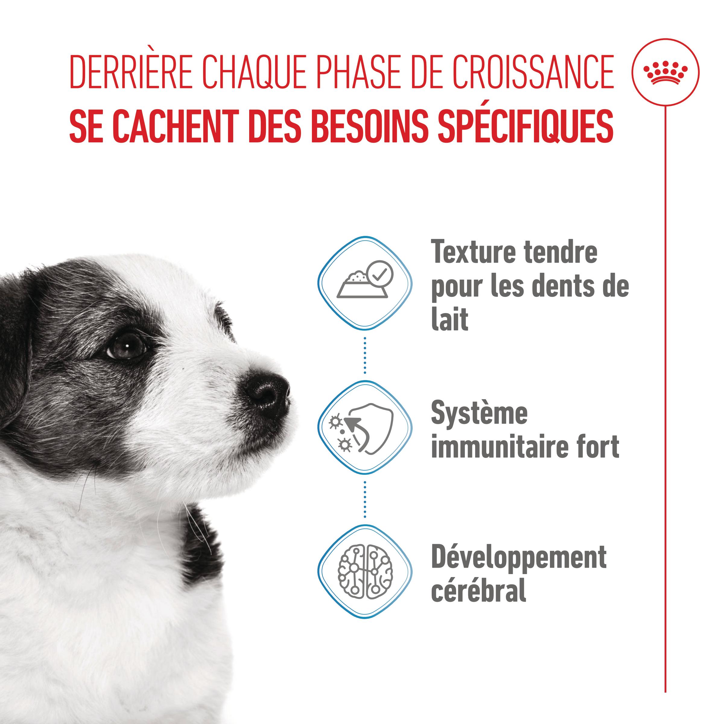 Royal Canin Mini Puppy - Sachet