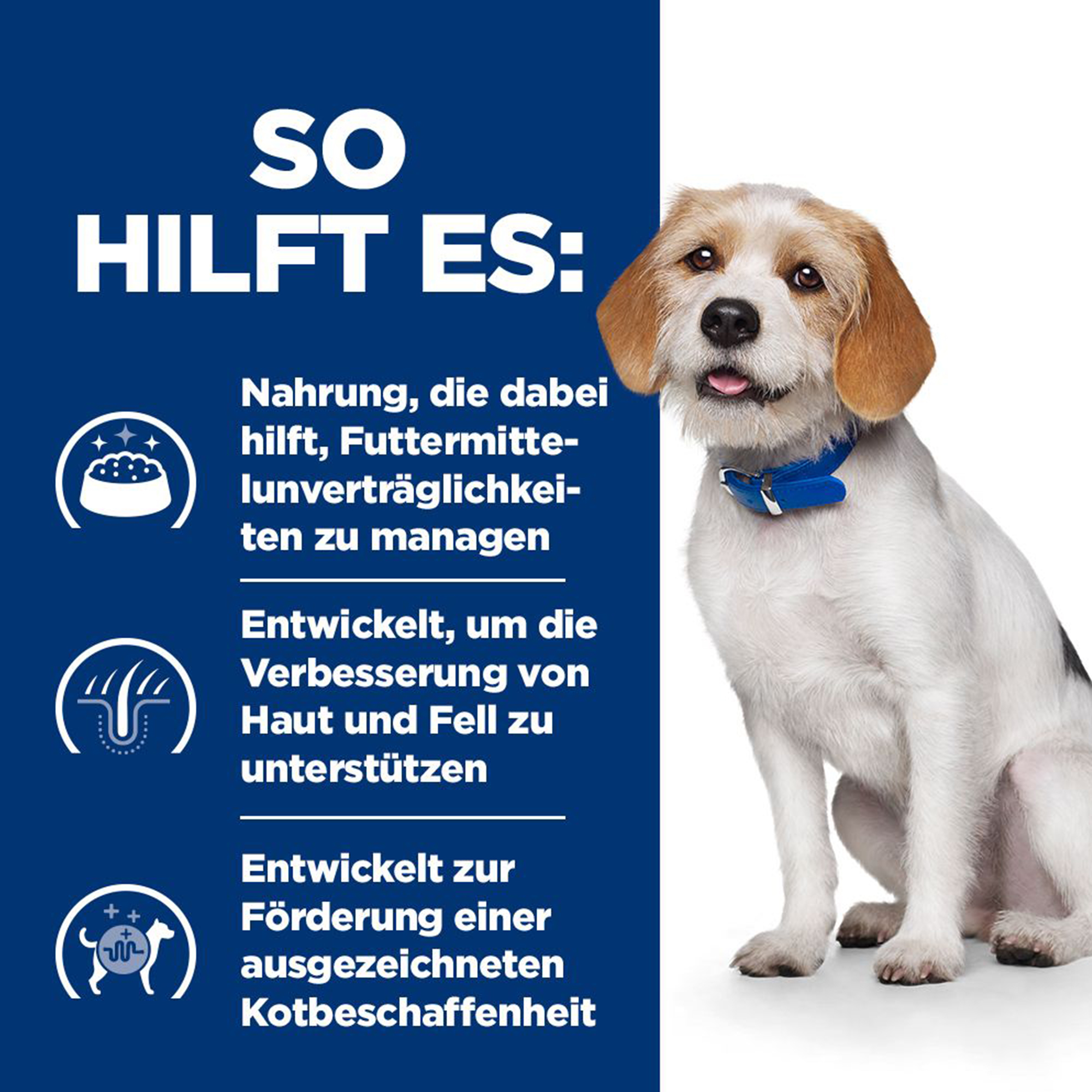 Hill's z/d Low Fat Food Sensitivities - Prescription Diet - für Hunde