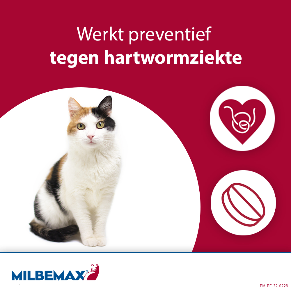 Milbemax Kat