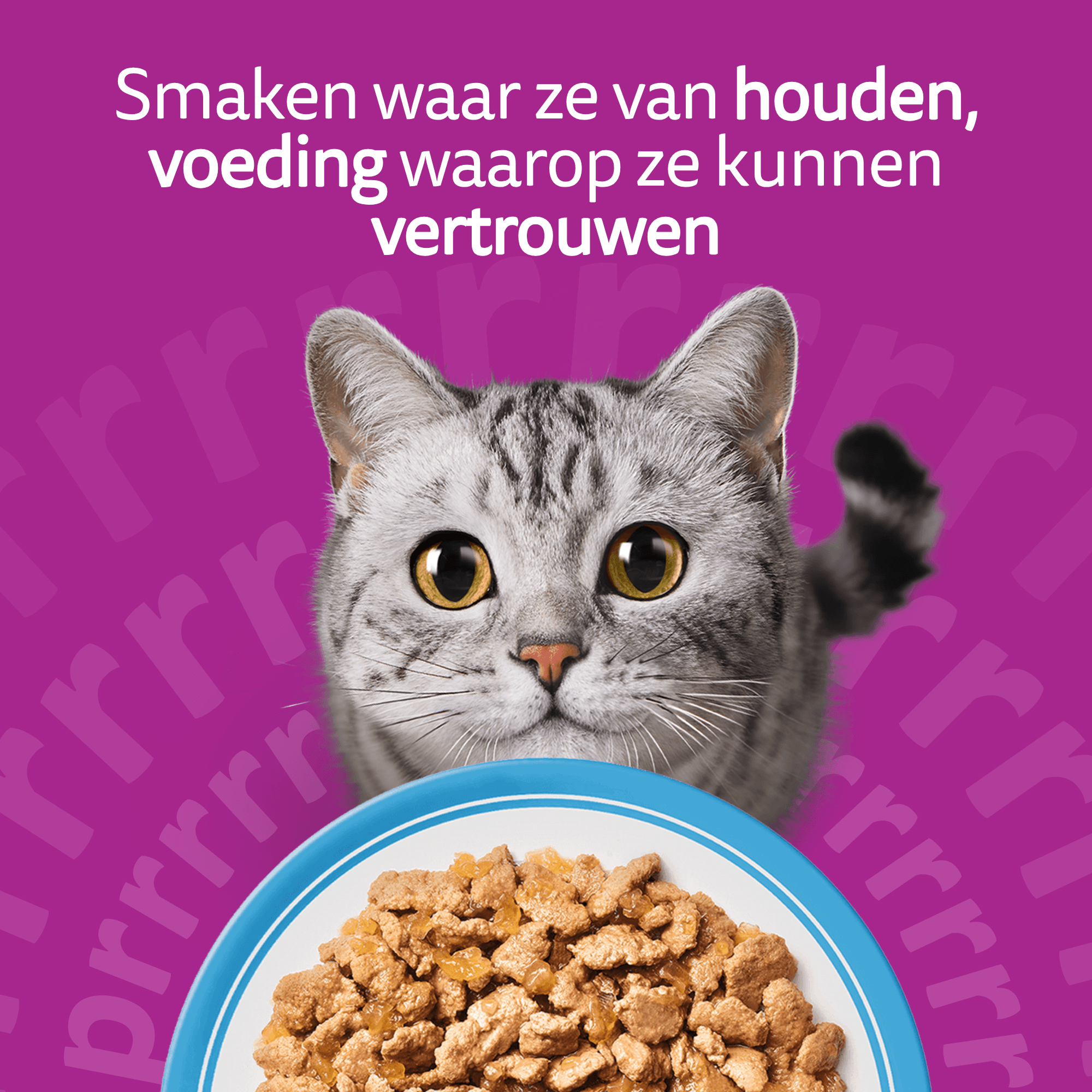 Whiskas 1+ Selectie - Multipacks