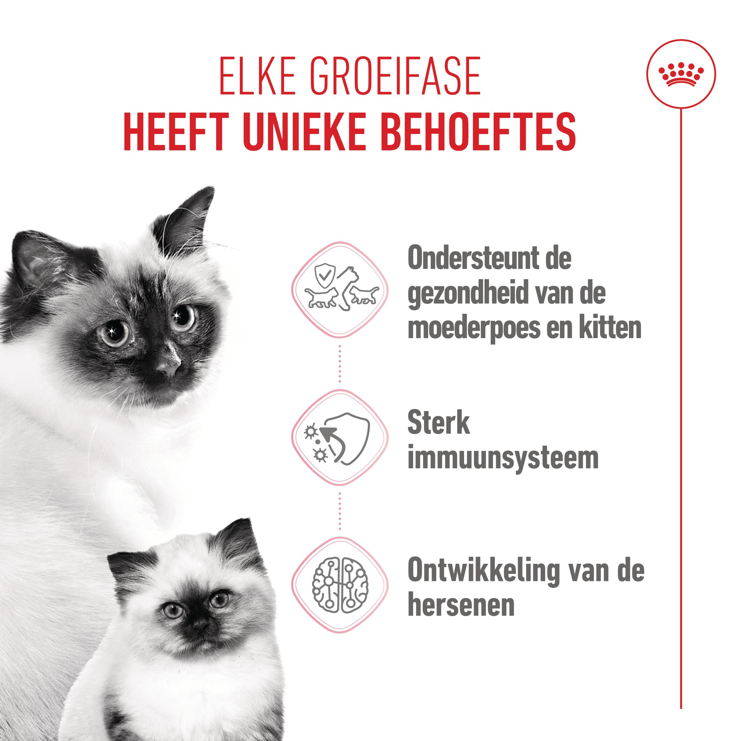 Royal Canin Mother & Babycat - Kattenvoer