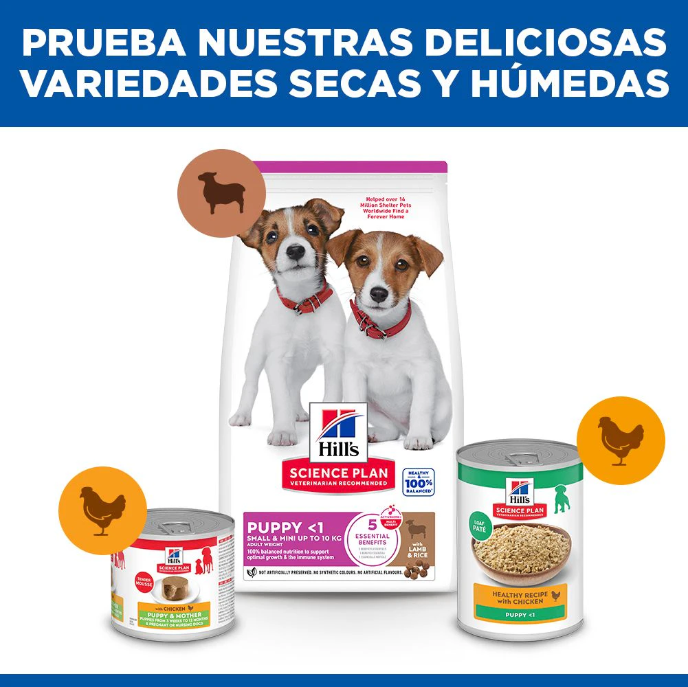 Hill's Science Plan Small & Mini - Cachorro - Cordero y Arroz