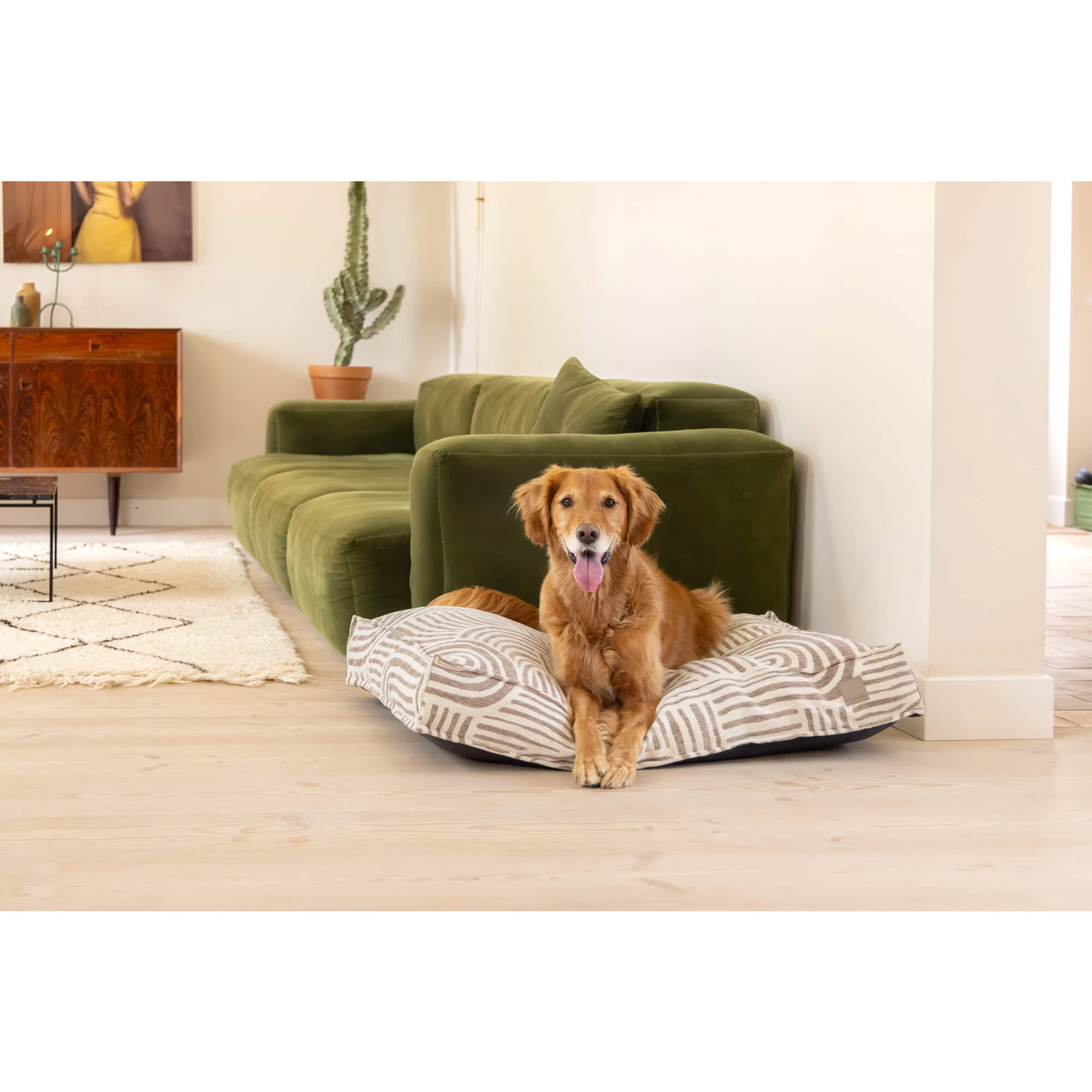Beeztees Next Gen Cuscino Ortopedico per Cani