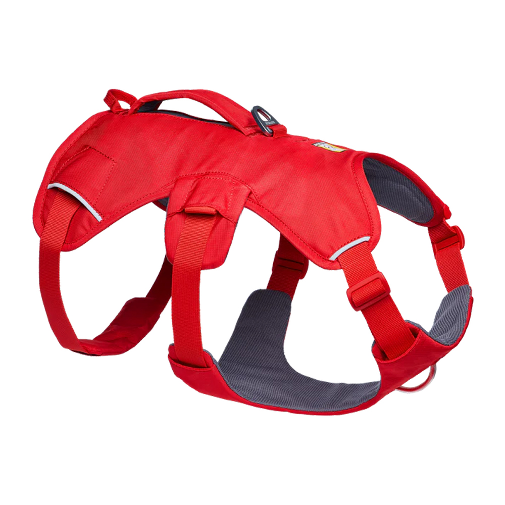 Ruffwear Webmaster Harness Dog Order