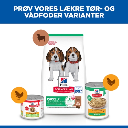 Hill's Science Plan - Puppy - Medium - Agnello e Riso
