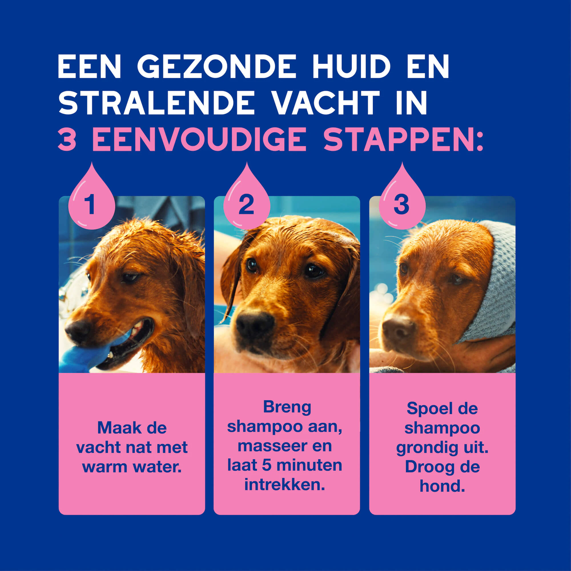 Douxo spa Shampoo bij geprikkelde huid