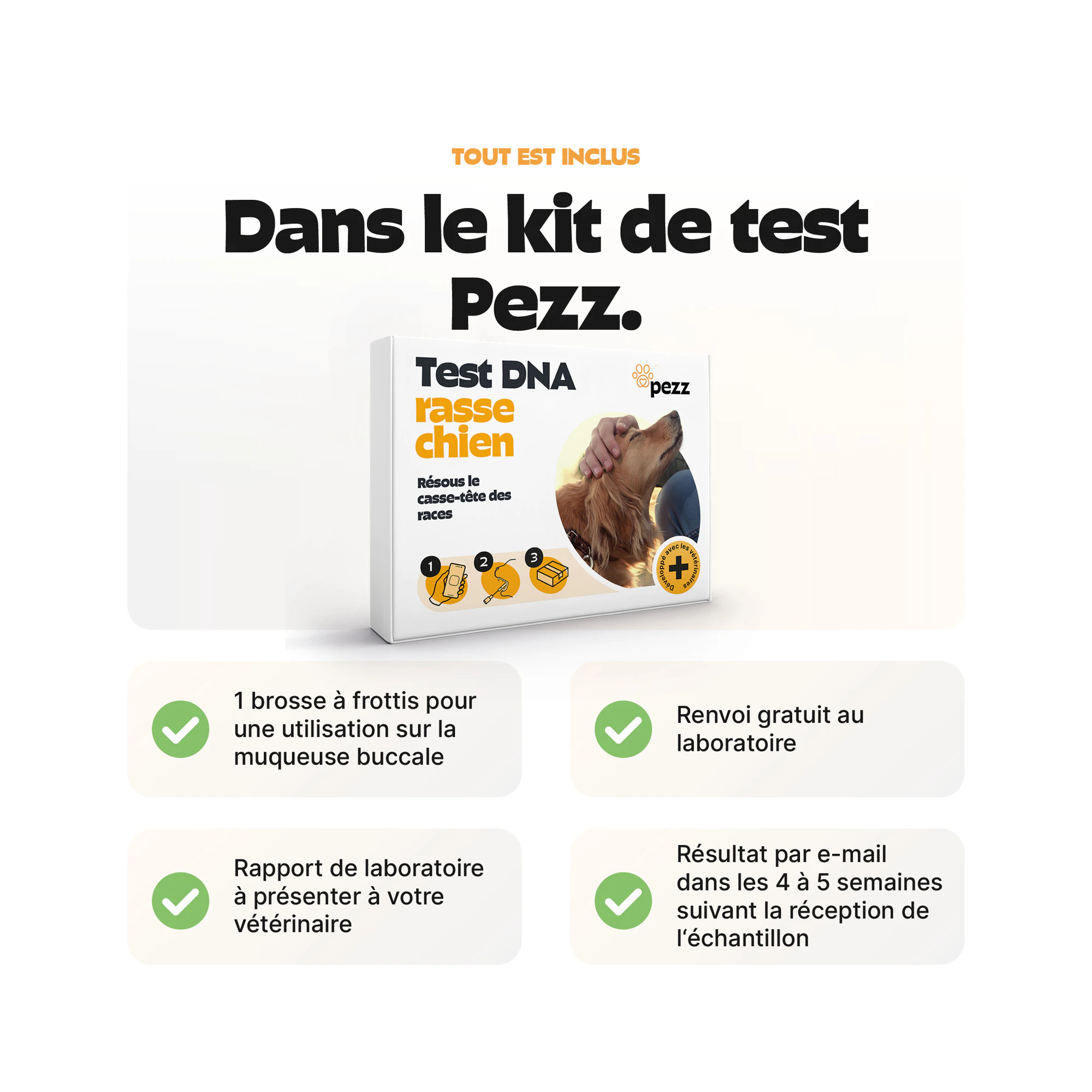 Pezz DNA Test Rasse Chien