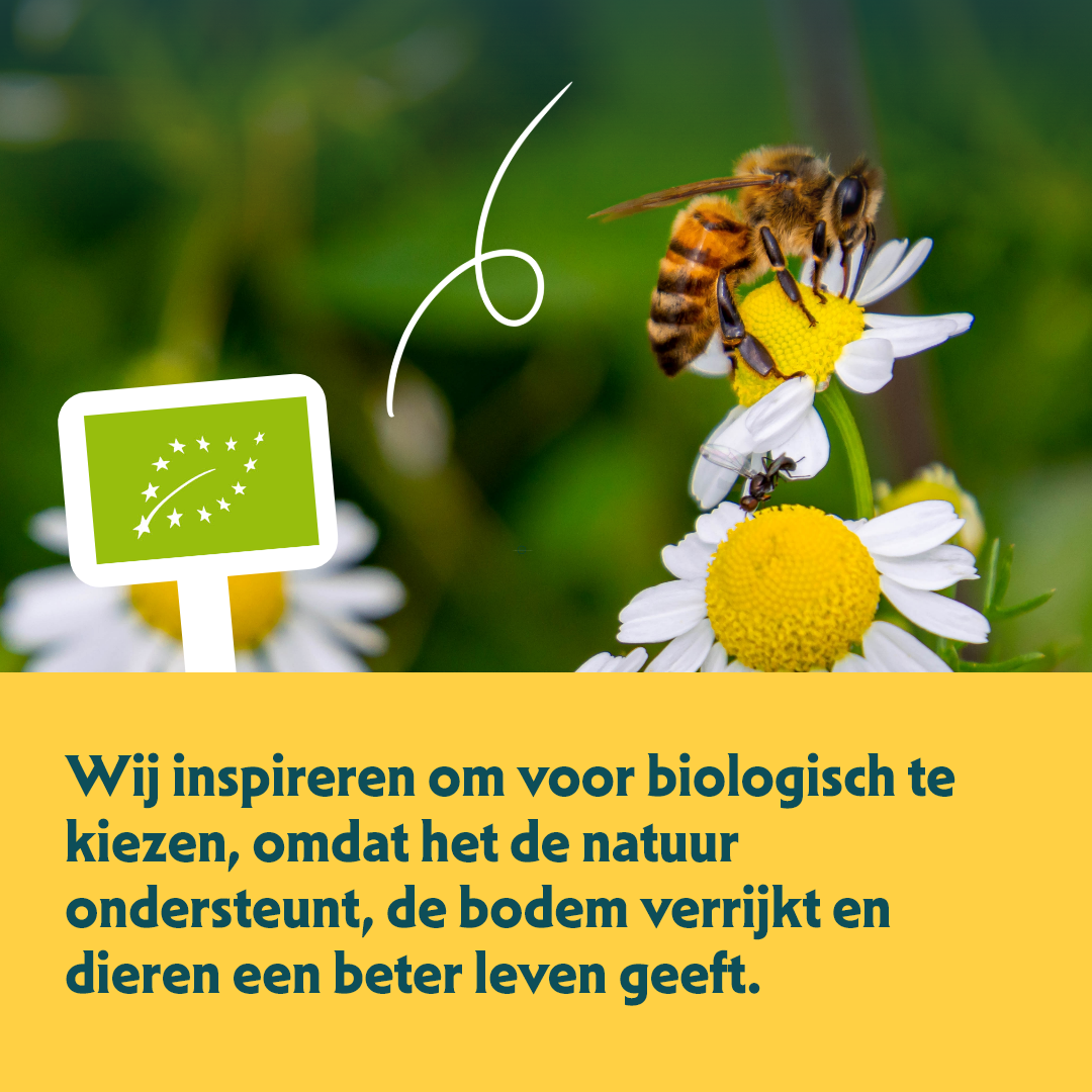 De bron van info over biologisch honden- & kattenvoer