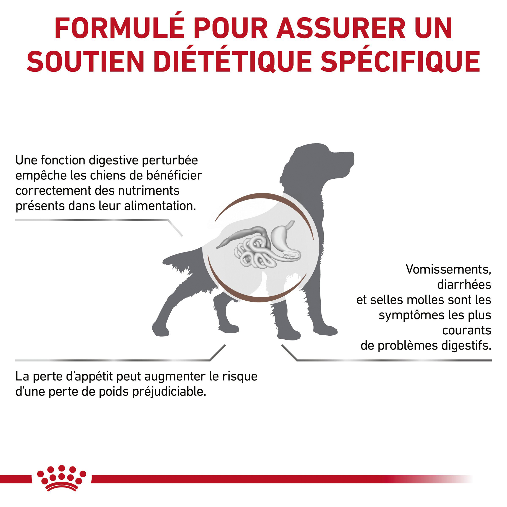 Royal Canin Gastrointestinal Chien