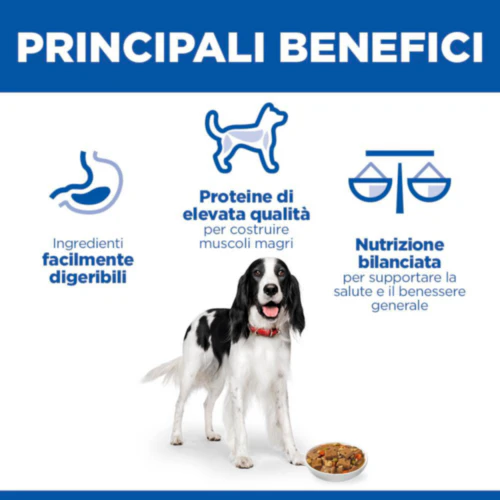 Hill's Science Plan - Adult - Spezzatino - Pollo