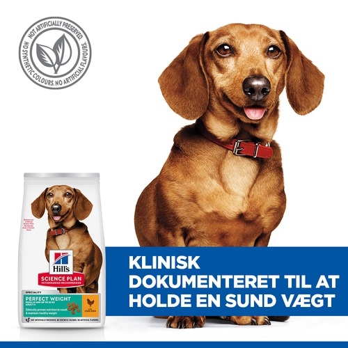 Hill's Science Plan Perfect Weight Adult Hundefoder