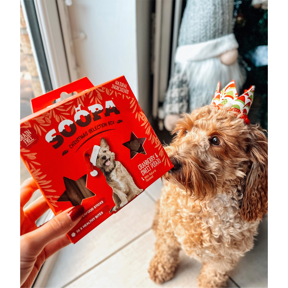 Soopa - Christmas Selection Box