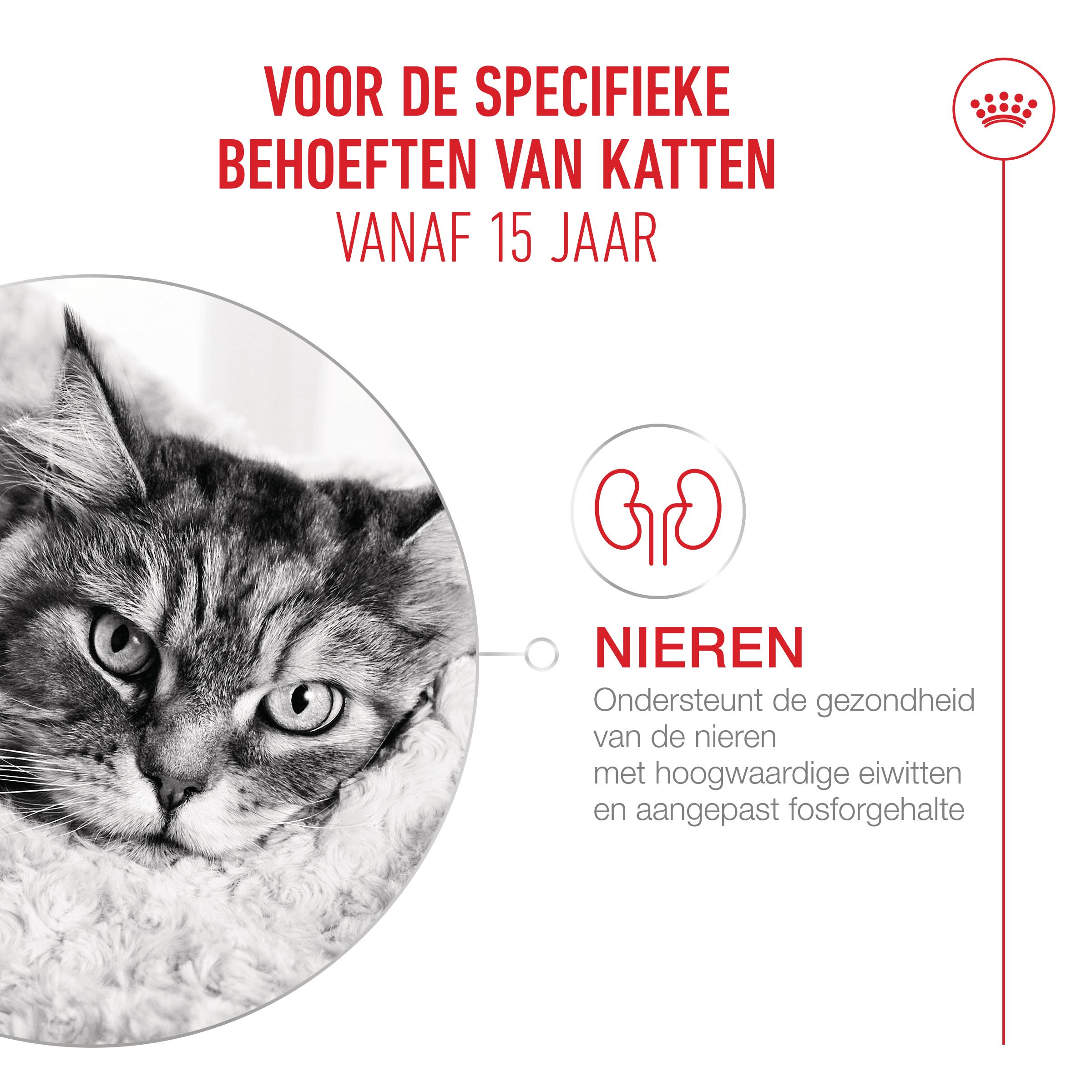 Royal Canin Ageing 15+ in Saus - Kattenvoer