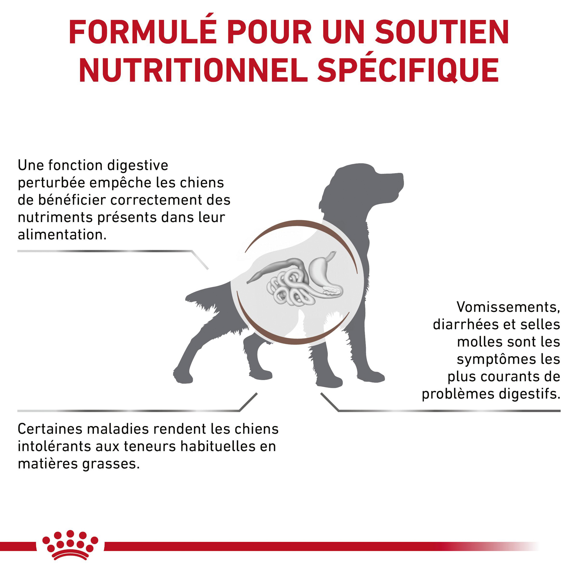 Royal Canin Gastro Intestinal Low Fat - Boîte