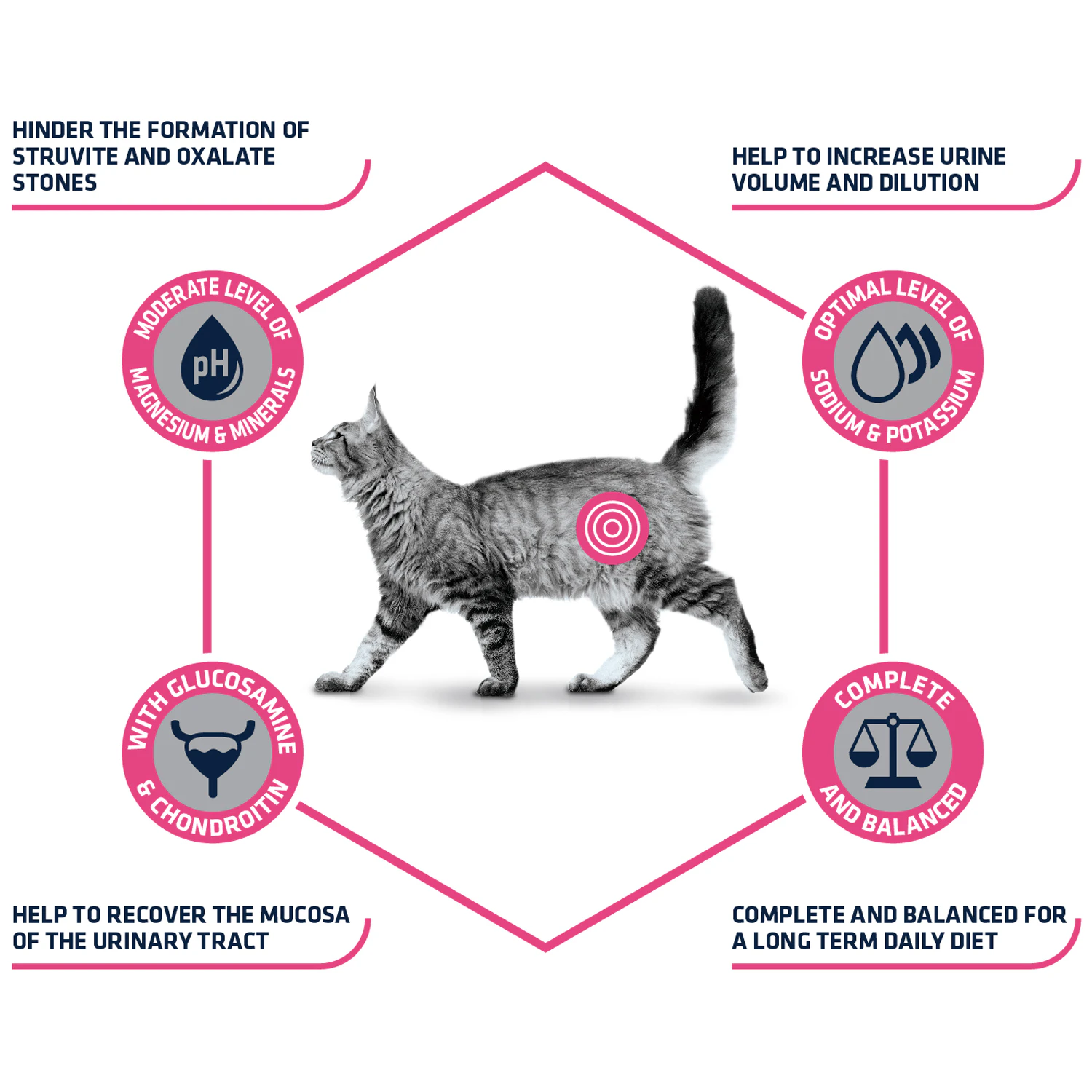 Affinity Advance Veterinary Diets Urinary Cat