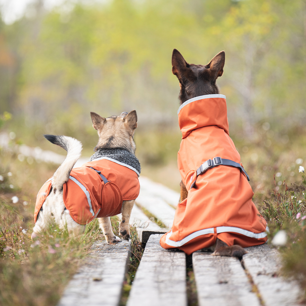 Pomppa Perus Manteau pour Chien