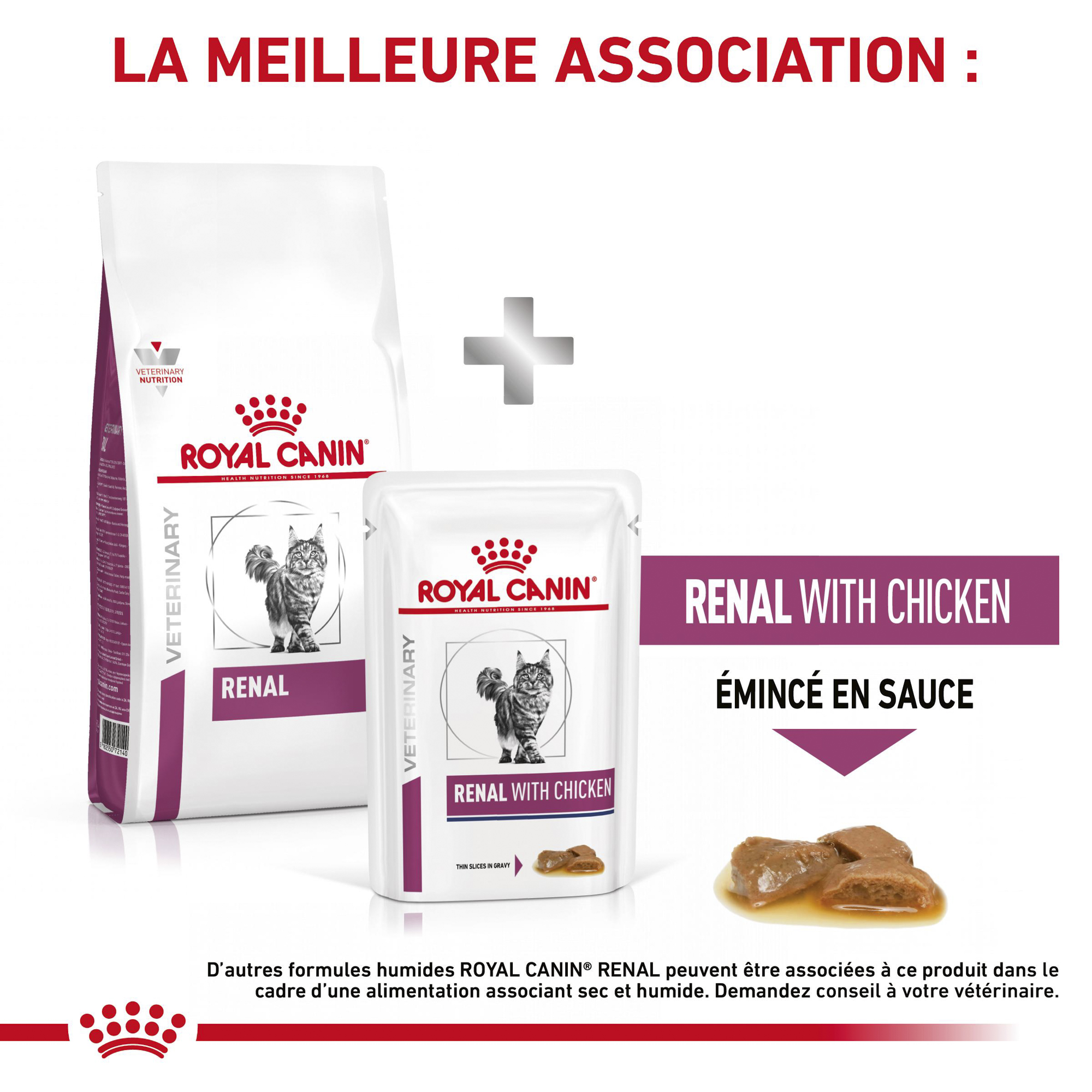 Royal Canin Rénal Chat