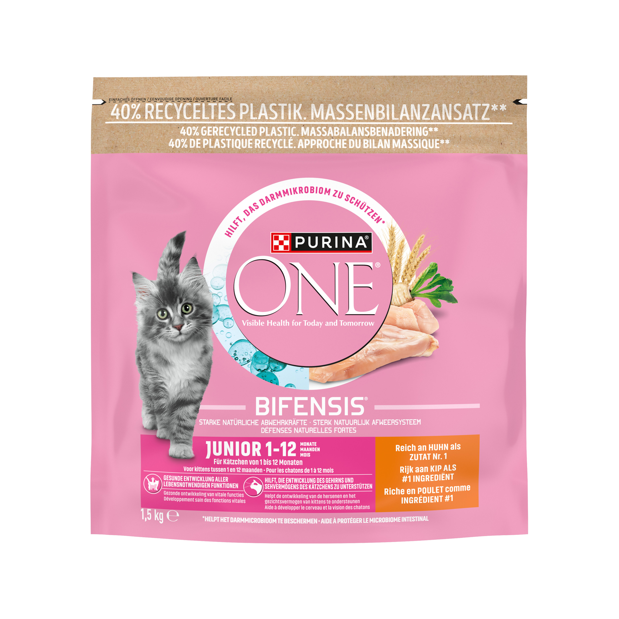 Purina ONE Junior