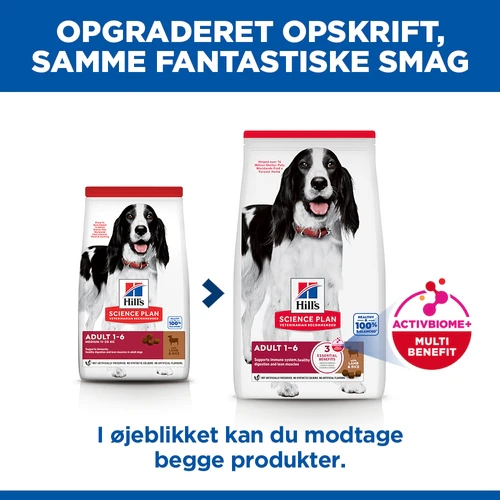 Hill's Science Plan Medium - Adult - Lam & Ris