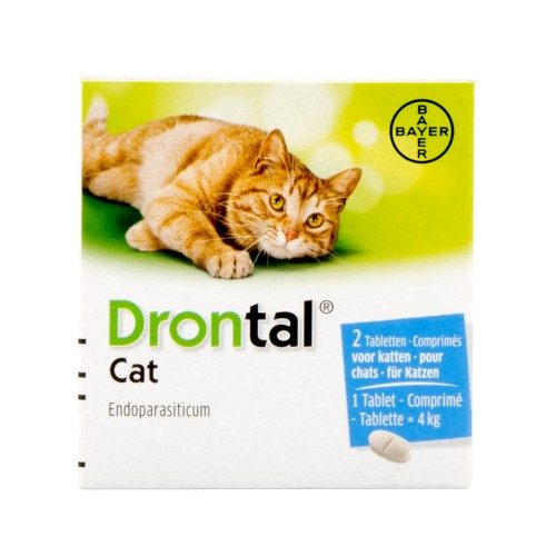 Vermifuge Drontal Chat (Drontal Cat) - 4 x 2 comprimés