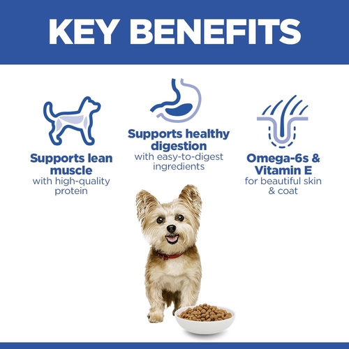 Hill's Science Plan Small & Mini - Adult - Kip