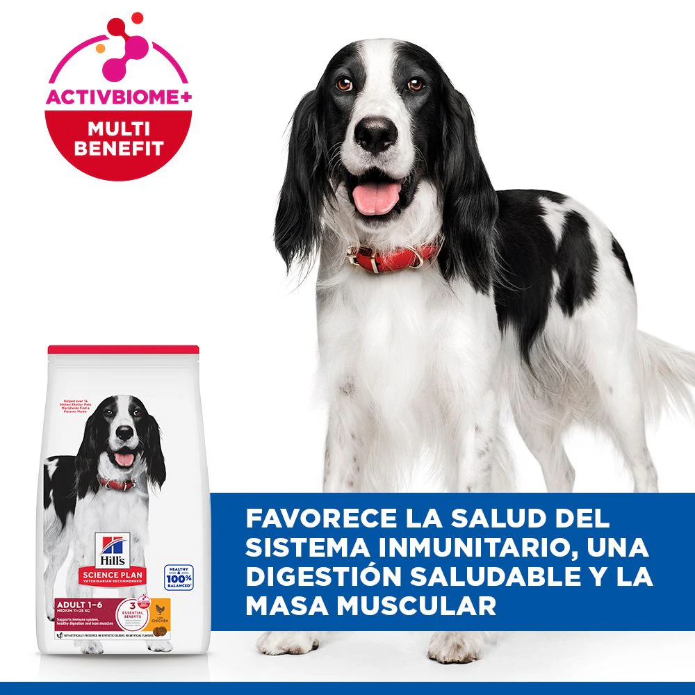 Hill's Science Plan - Medium - Adult - Pollo