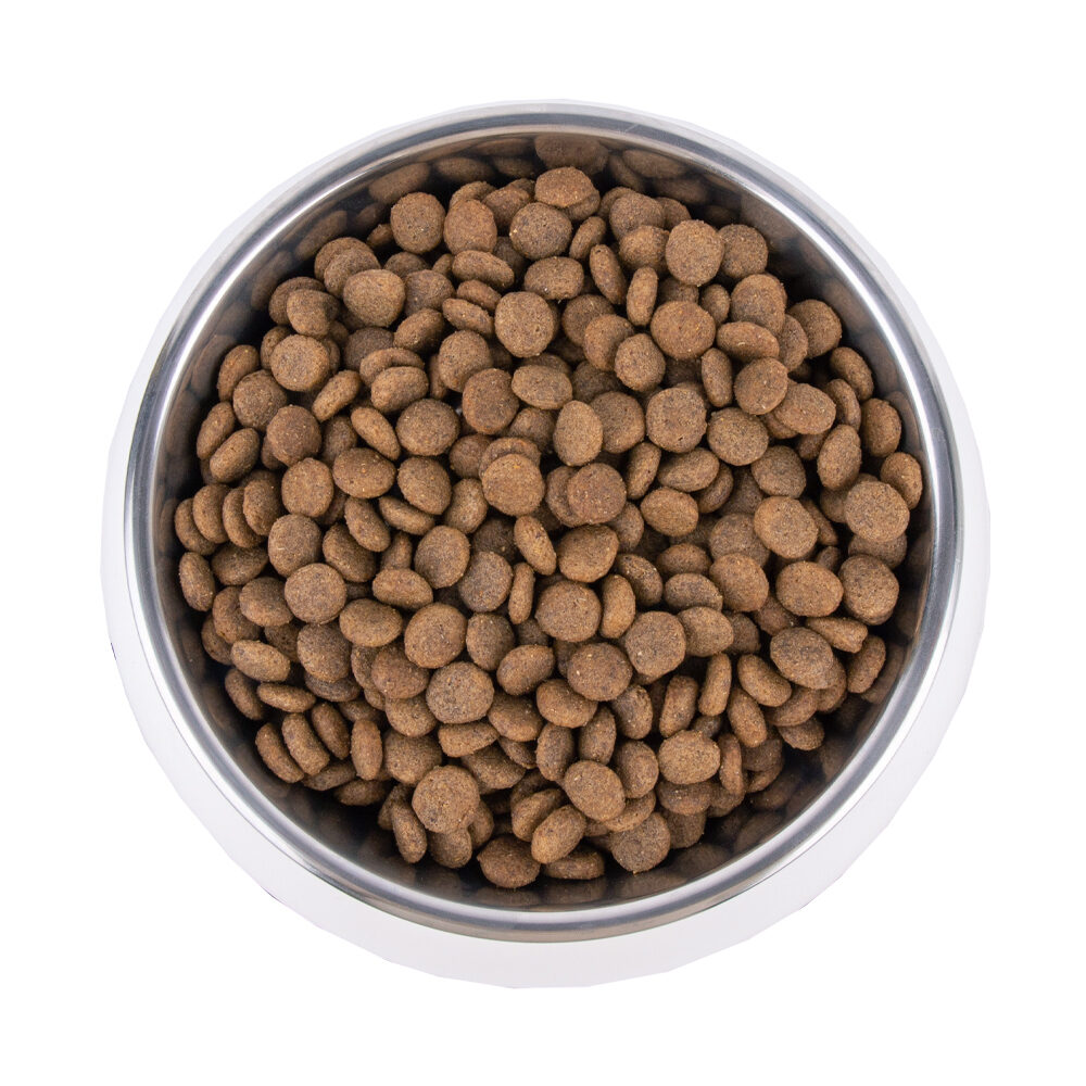 Anti yeast dog top food uk