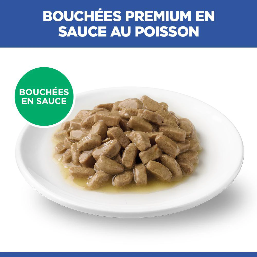 Hill's Science Plan - Chaton - Poisson de Mer - Sachet