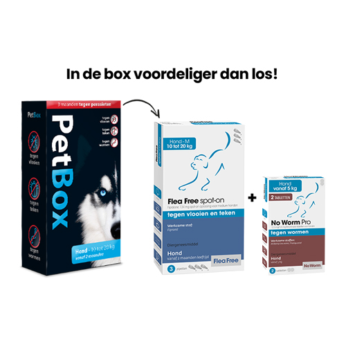 PetBox Hond