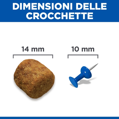 Hill's Science Plan Large Breed - Adult - Agnello e Riso