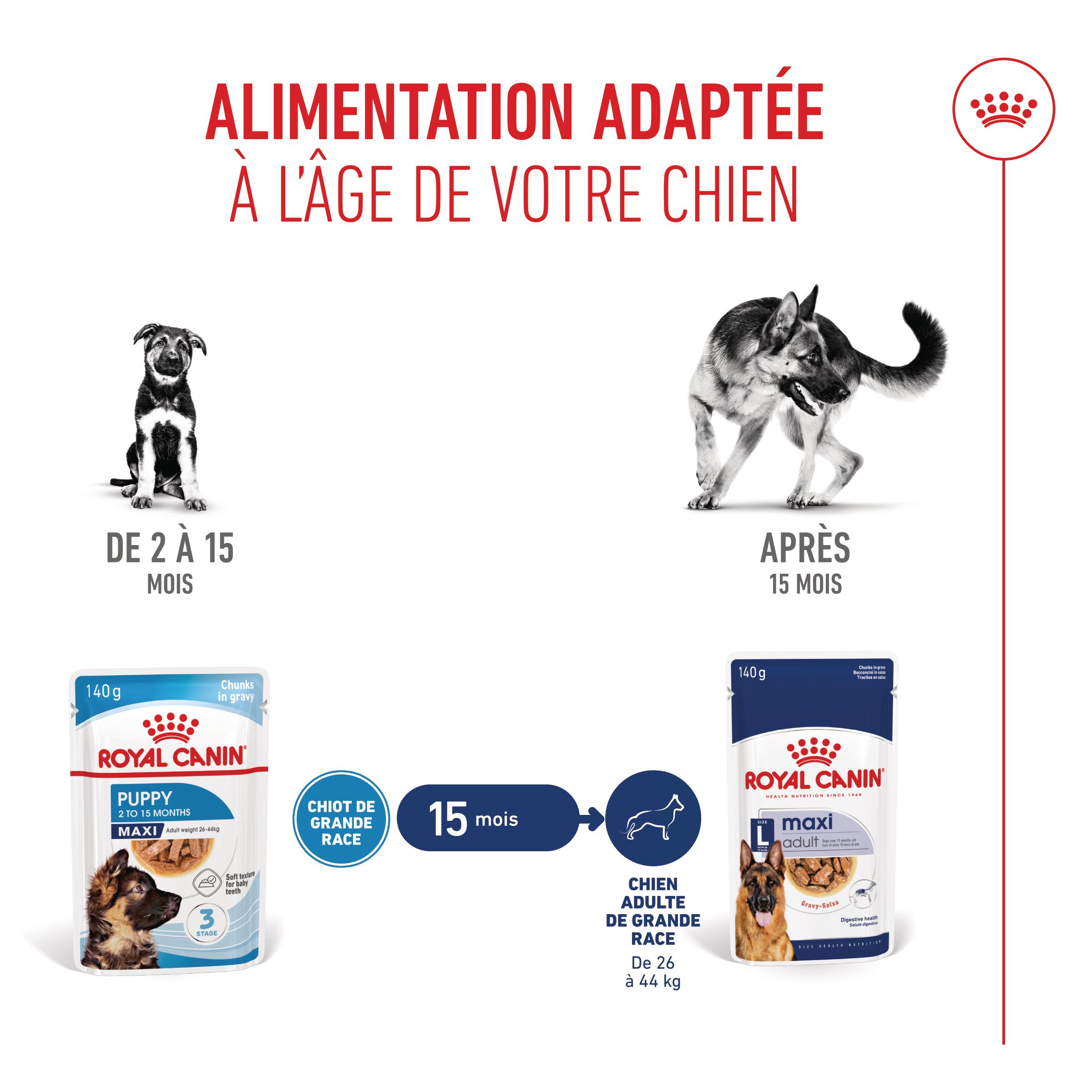 Royal Canin Maxi Puppy - Sachet