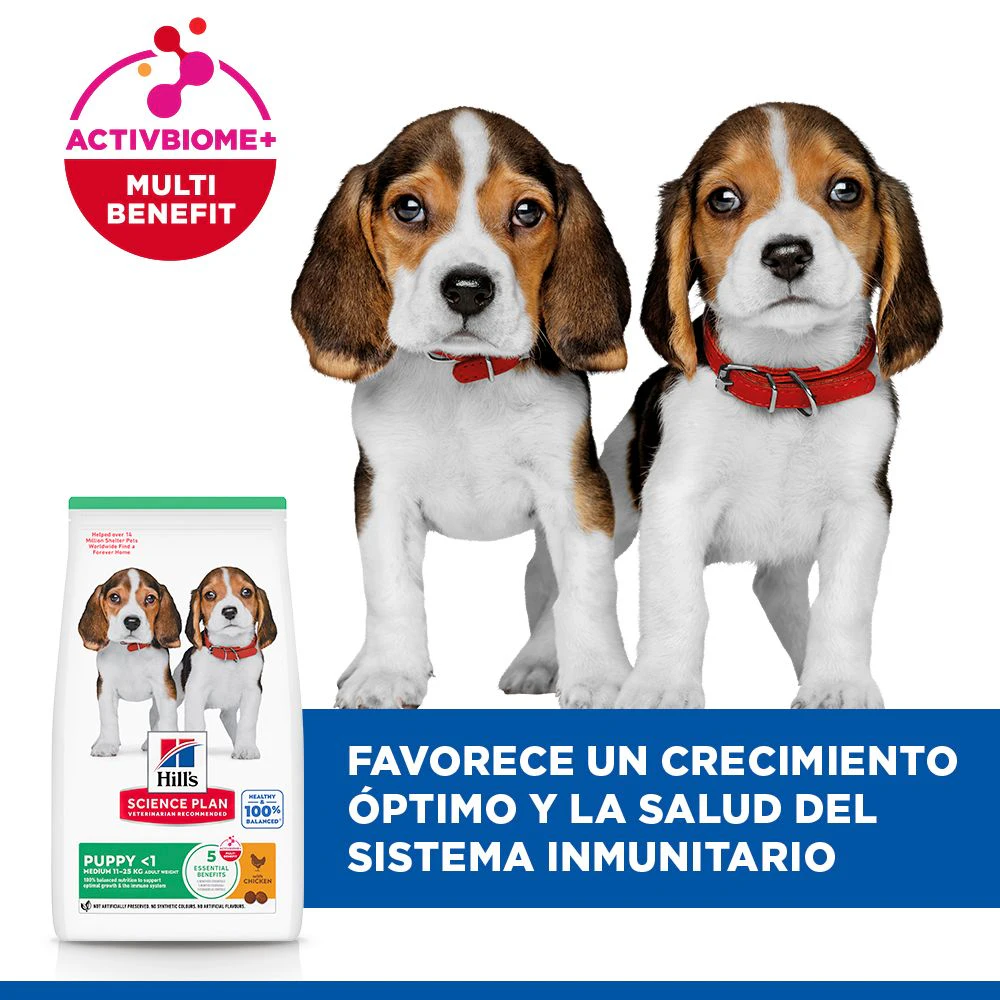 Hill's Science Plan - Puppy - Medium - Pollo