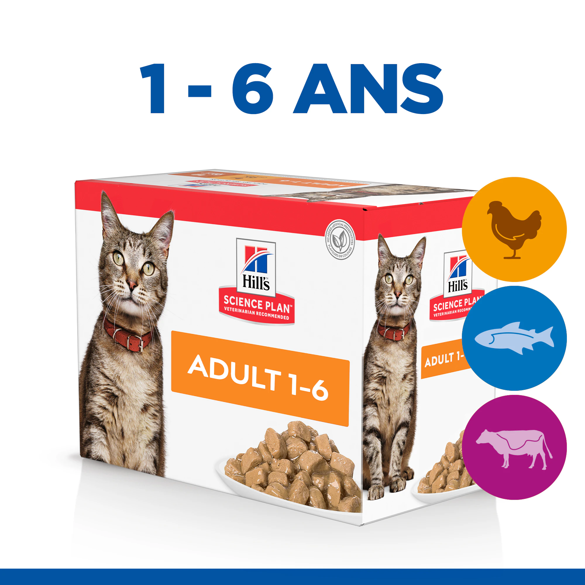 Hill's Science Plan Feline Adult Favourite Selection