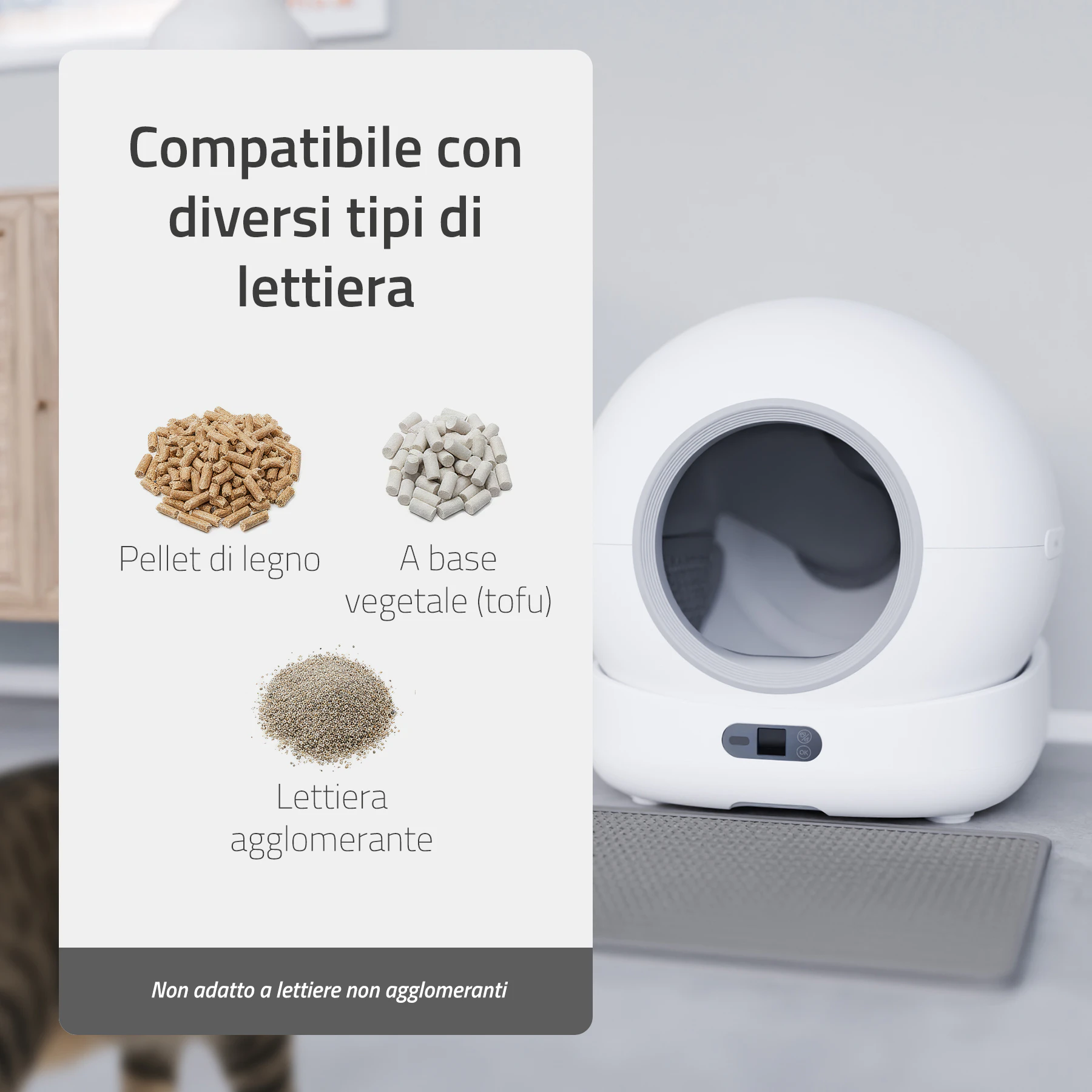 Hombli Smart Lettiera per Gatti con Telecamera