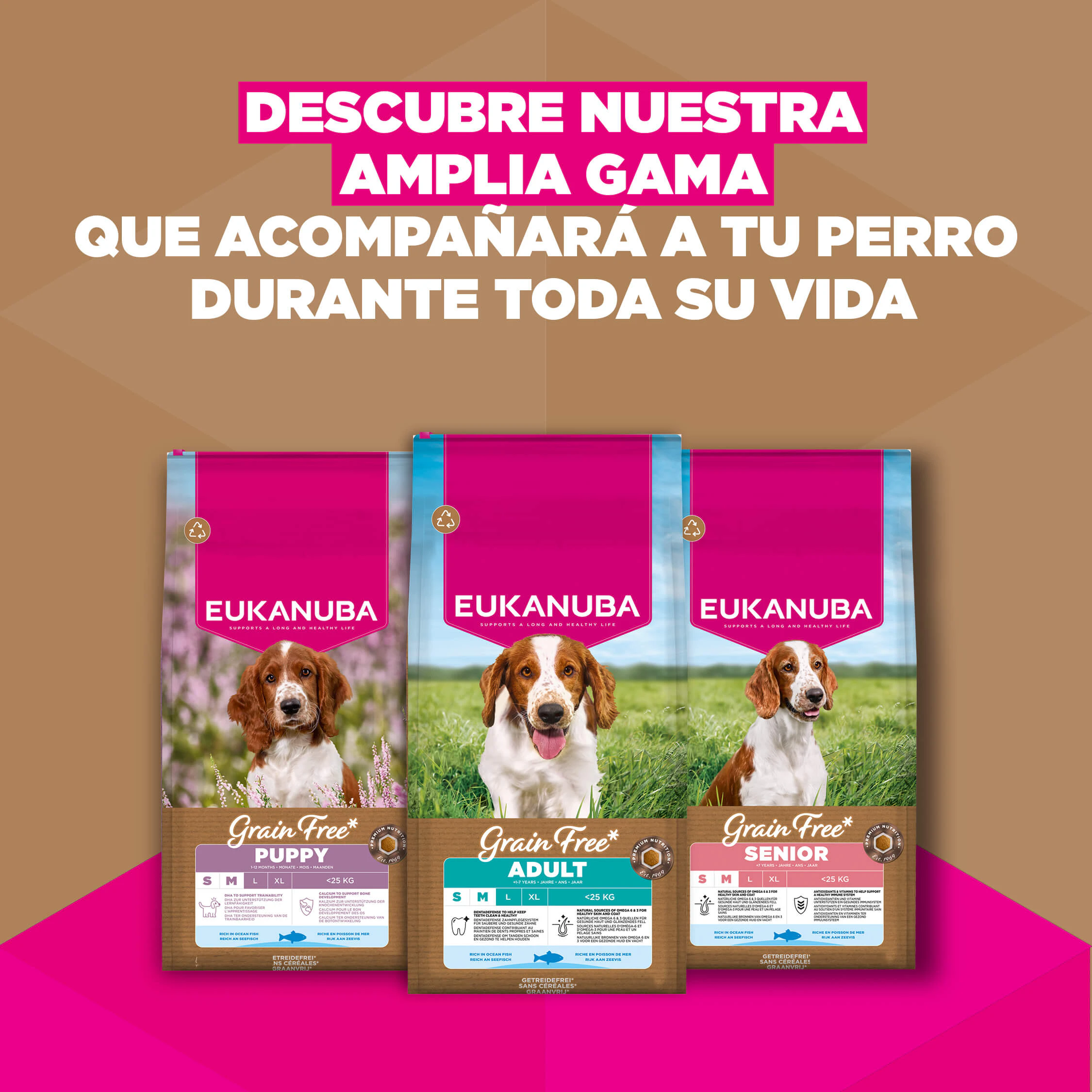 Eukanuba Dog Puppy Small/Medium Grainfree Comida para Perros