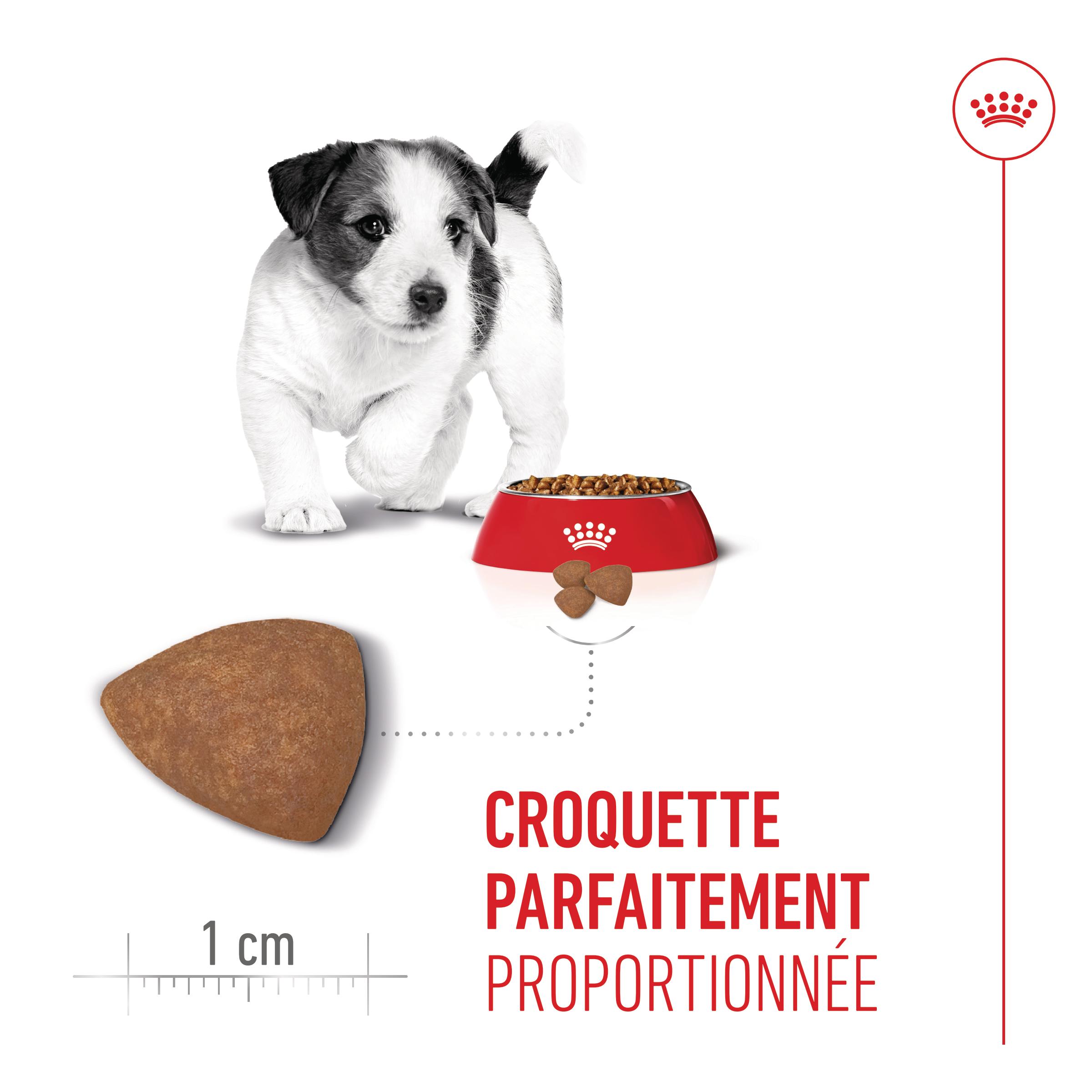 Royal Canin Mini Puppy