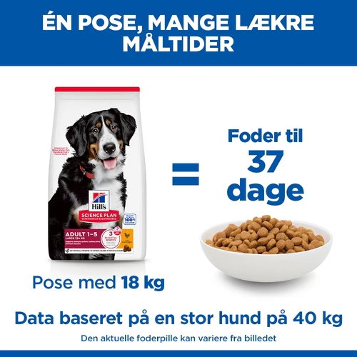 Hill's Science Plan - Large Breed - Adult - Kylling