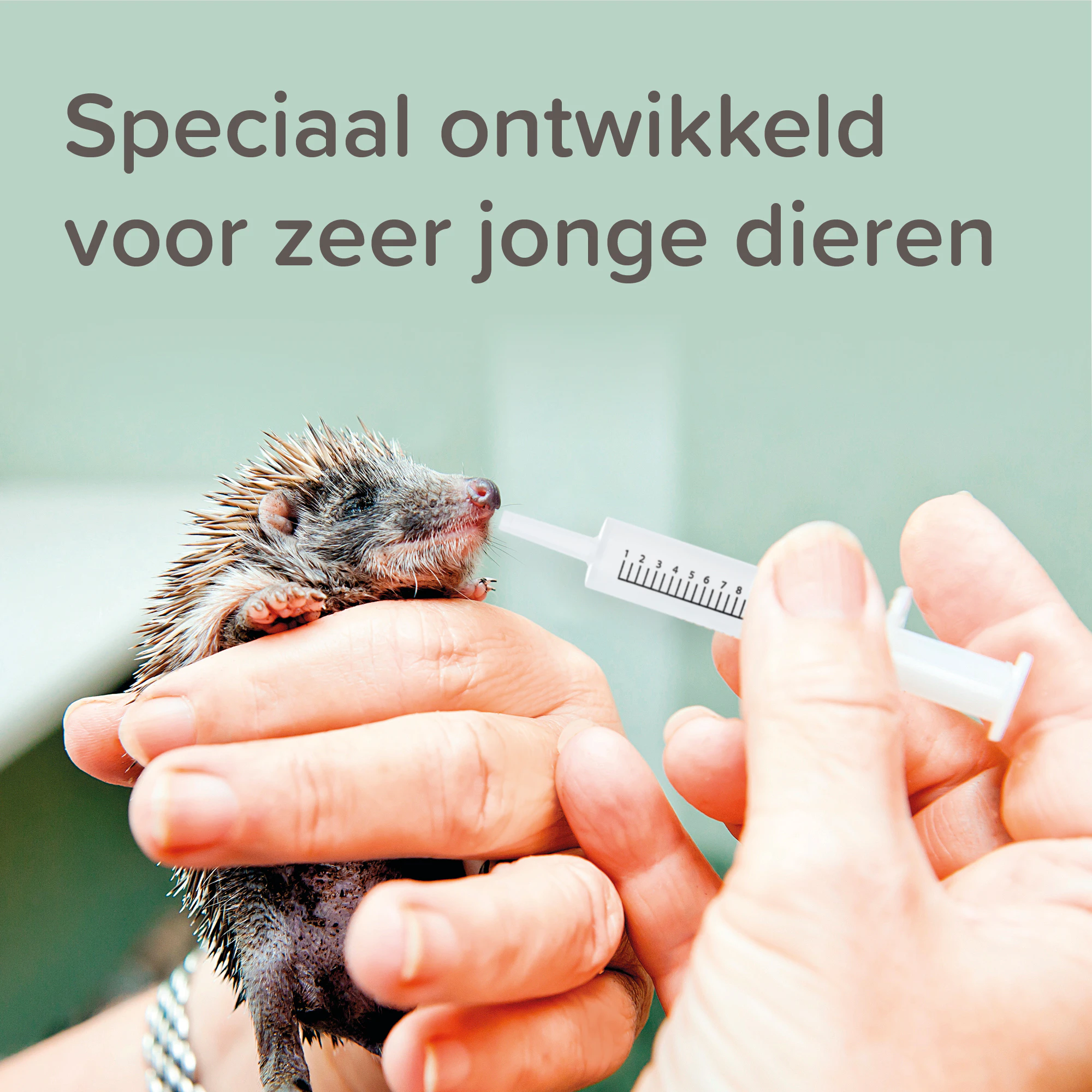 Beaphar Voederspuitjes