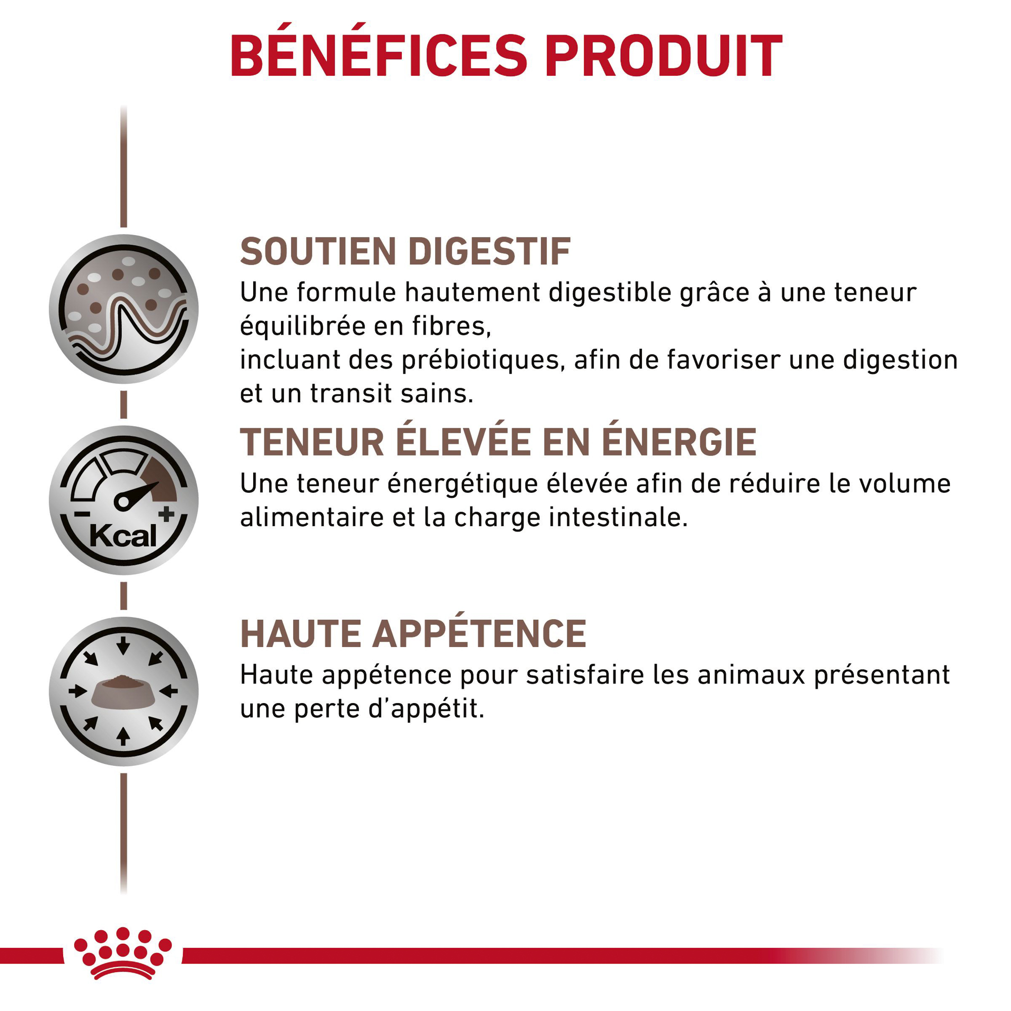 Royal Canin Gastro Intestinal - Boîte