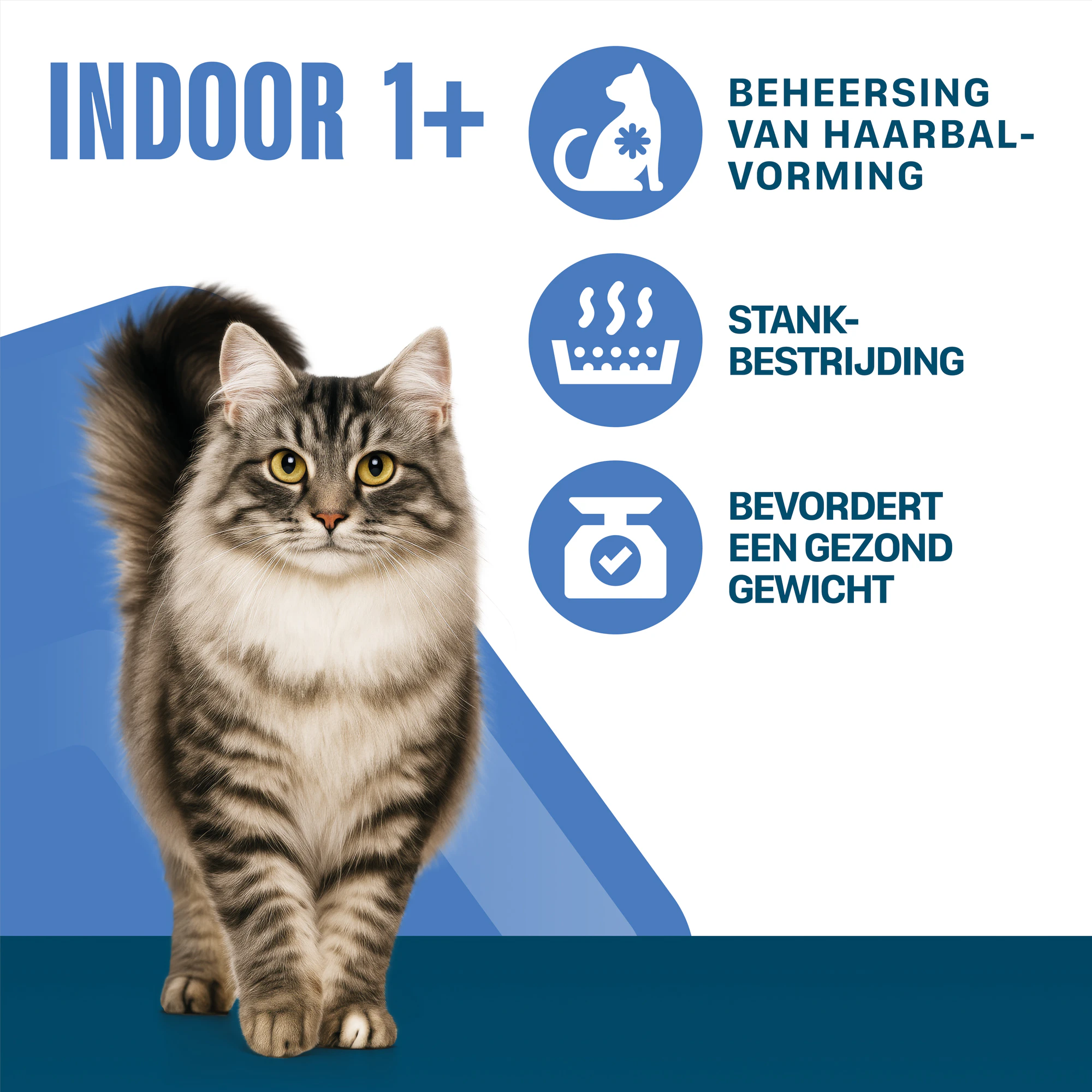 Perfect Fit Adult Indoor 1+