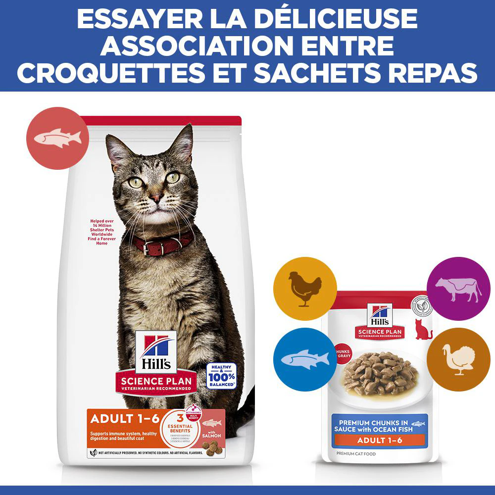 Hill's Science Plan Adult - Sachet - Poisson de mer - Sachet