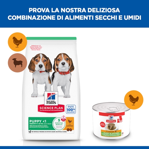 Hill's Science Plan Puppy & Mother - Pollo - Lattina