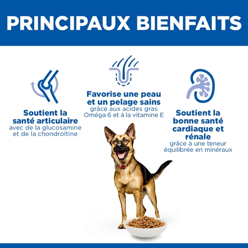 Hill's Science Plan - Large Breed - Mature Adult 6+ - Poulet