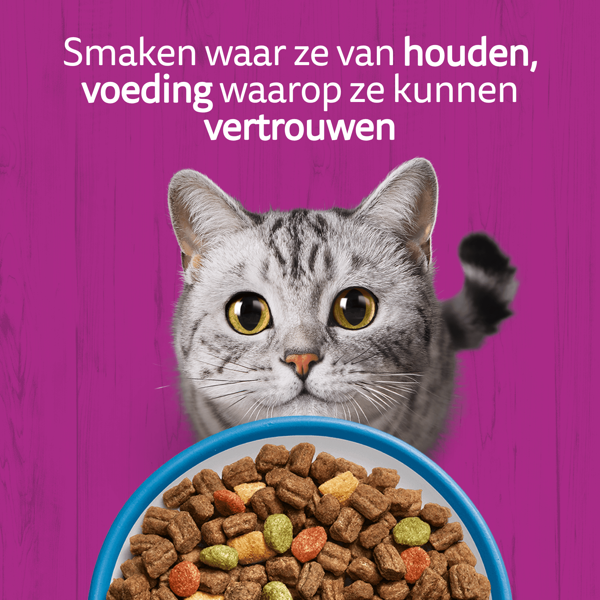 Whiskas Adult Kattenbrokken