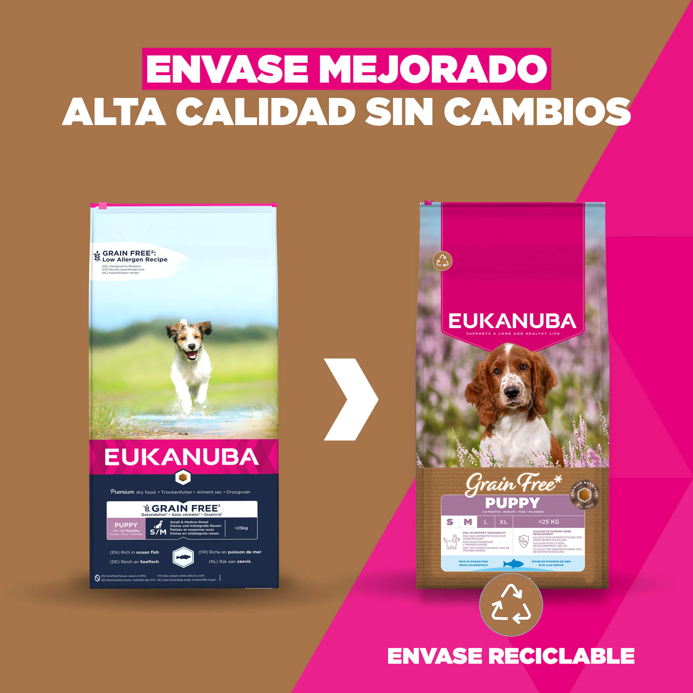 Eukanuba Dog Puppy Small/Medium Grainfree Comida para Perros
