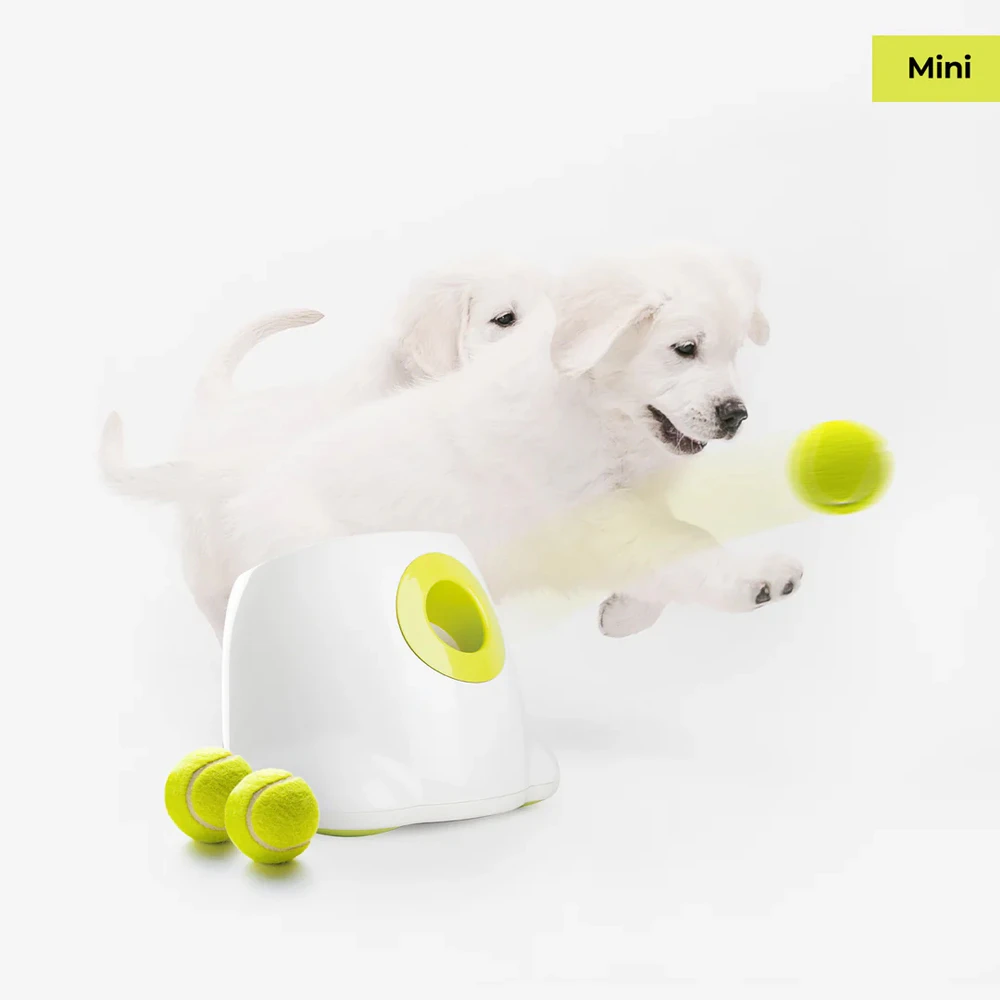 AFP Automatic Ball Launcher Mini